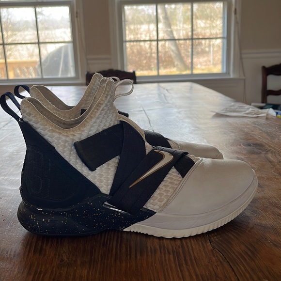 Nike Other - Nike Lebron witness 7